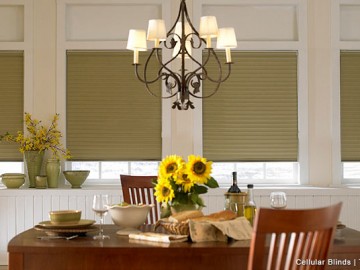Translucent Honeycomb blinds